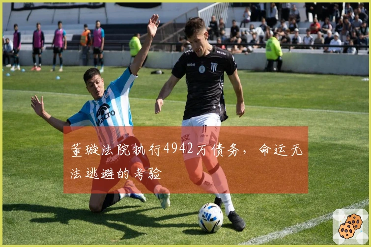 董璇法院执行4942万债务，命运无法逃避的考验